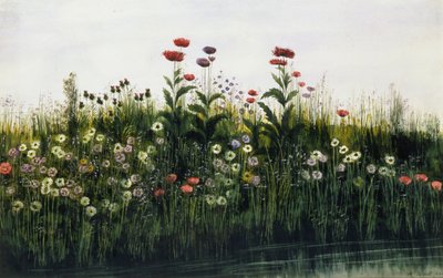 Coquelicots, marguerites et chardons sur une rive (paire de 85964) - Andrew Nicholl